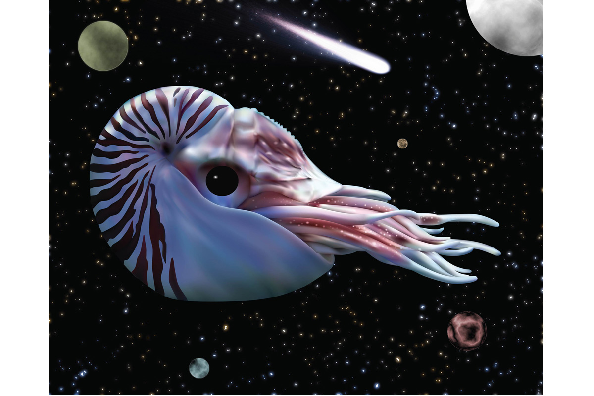 Space Cephalopod