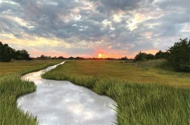 Canary Creek Inlet Sunset